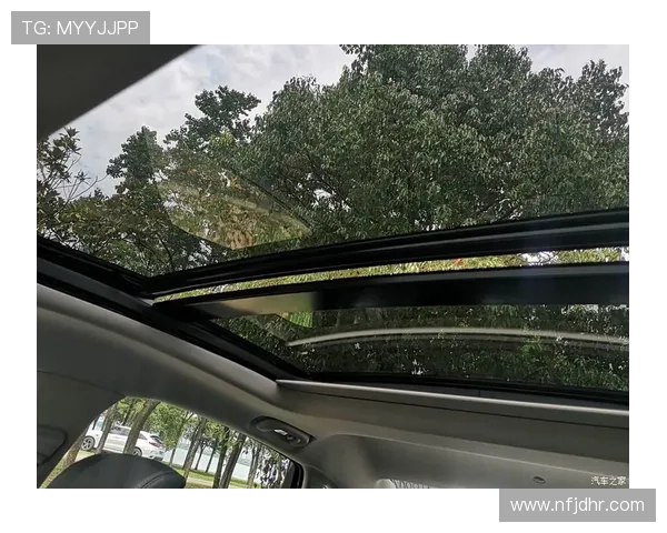 什么平台可以看欧冠联赛（哪个软件可以看欧冠比赛）sports