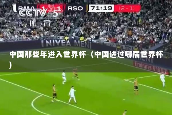中国那些年进入世界杯（中国进过哪届世界杯）