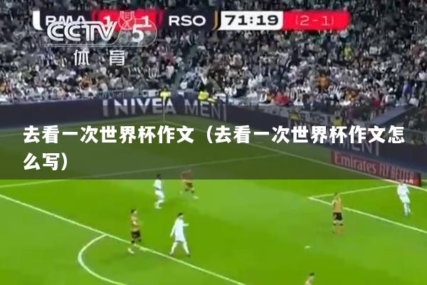 去看一次世界杯作文（去看一次世界杯作文怎么写）