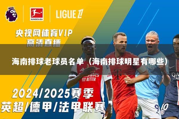 海南排球老球员名单（海南排球明星有哪些）
