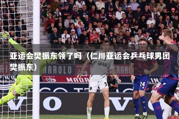 亚运会樊振东领了吗（仁川亚运会乒乓球男团樊振东）