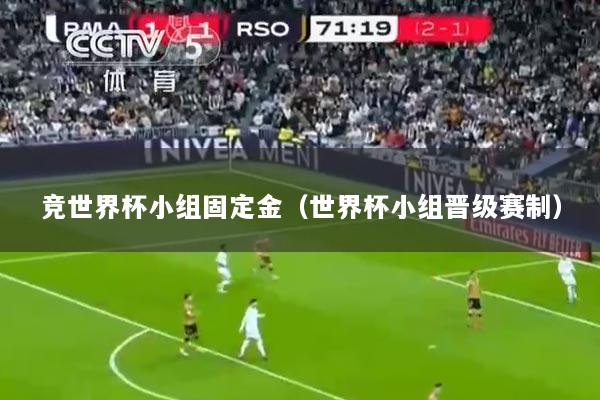 竞世界杯小组固定金（世界杯小组晋级赛制）