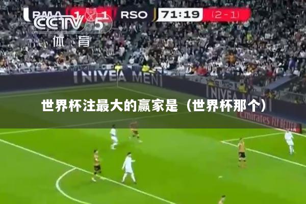 世界杯注最大的赢家是（世界杯那个）