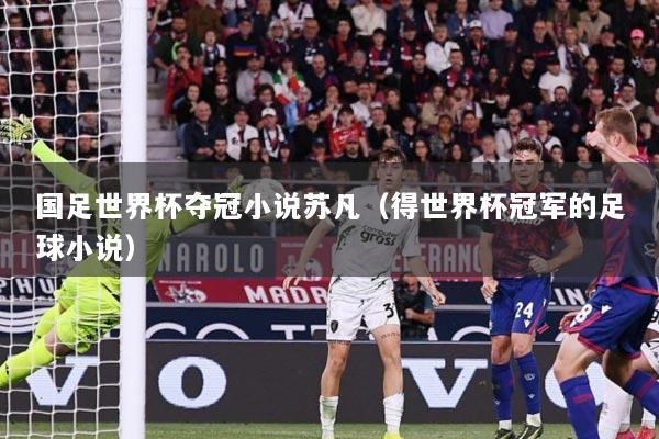 国足世界杯夺冠小说苏凡（得世界杯冠军的足球小说）
